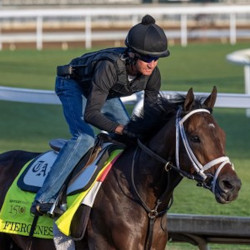 Fierceness is Out of the Belmont Stakes