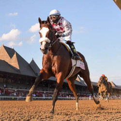 The Art of Laying the Favorite in Horse Betting