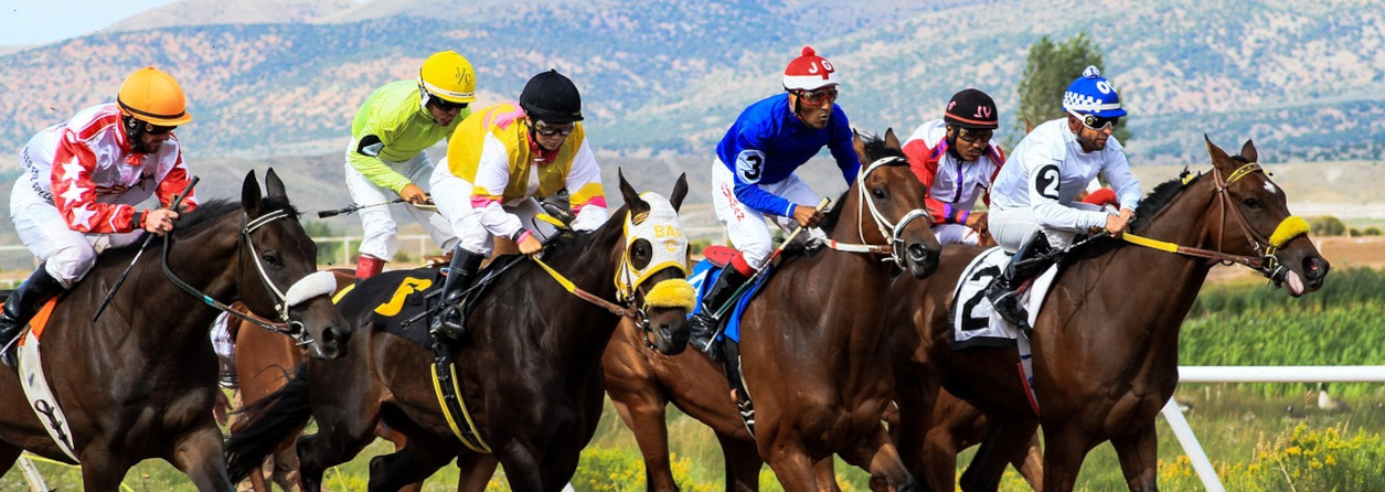 The Art of Laying the Favorite in Horse Betting