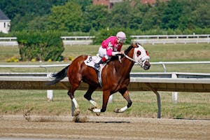 Royal Ascot Opens European Races for Breeder’s Cup