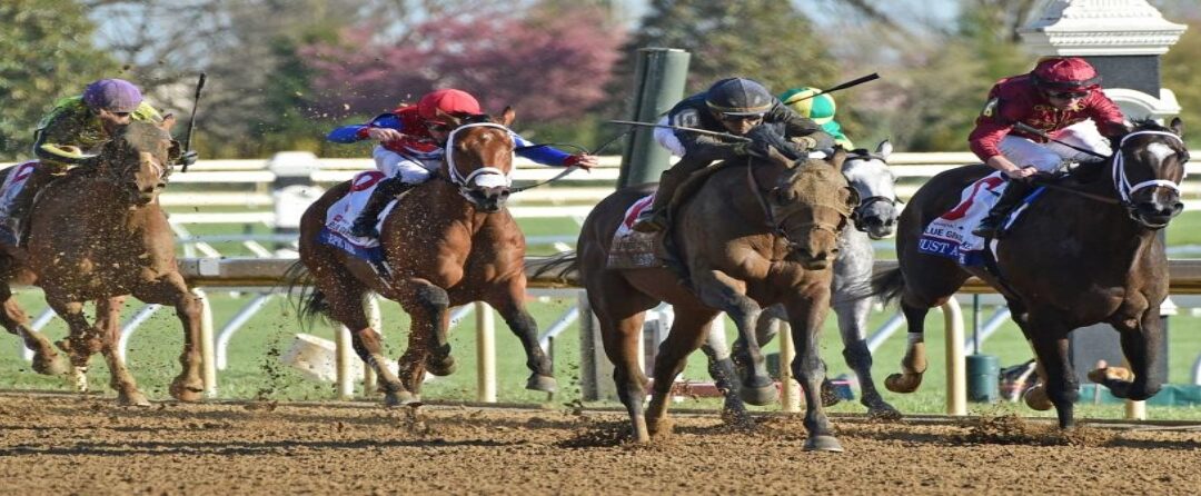 2024 Jim Dandy Stakes Preview