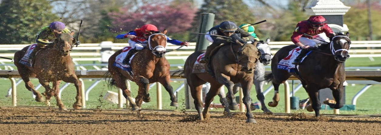 2024 Jim Dandy Stakes Preview