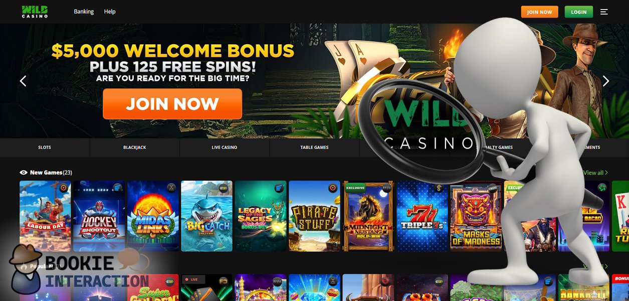 WildCasino.ag Casino Review and Info