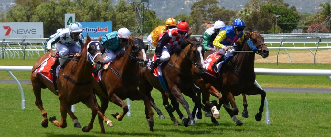 Mastering the Pick 3 Horse Betting Strategy