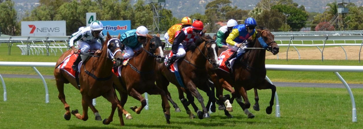 Mastering the Pick 3 Horse Betting Strategy