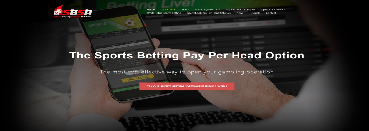 SportsBettingSolutionAsia.com Bookie Pay Per Head Review